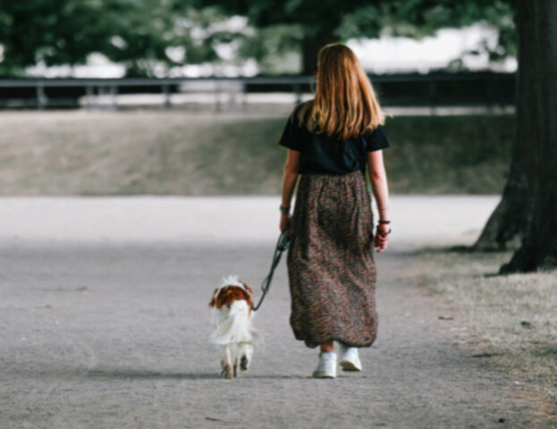 Avere un cane fa bene al cuore e non solo in senso metaforico: lo dicono degli studi