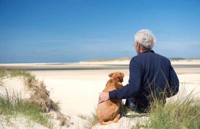 Dopo aver perso il suo padrone, questo cane non voleva più mangiare: voleva raggiungerlo e stare con lui