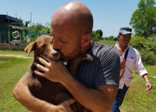 Dopo essere sfuggito all’eutanasia questo cane si è aggrappato con forza alla vita, cercando l’amore