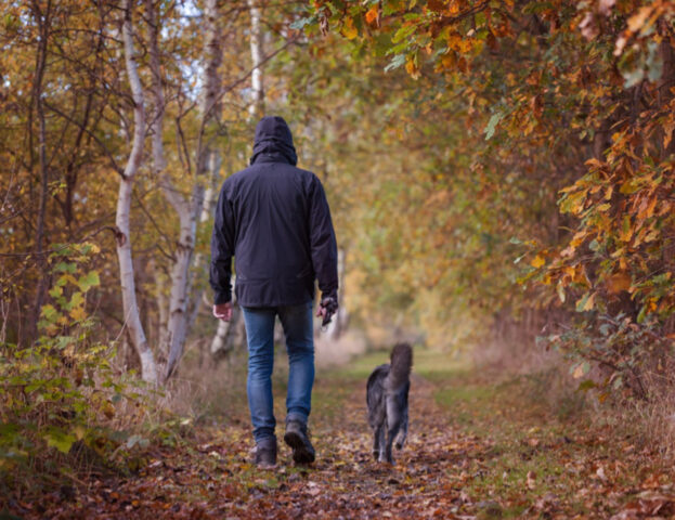 È successo in Italia: il cane a spasso ha mangiato delle droga ed è andato in overdose, il veterinario l’ha salvato