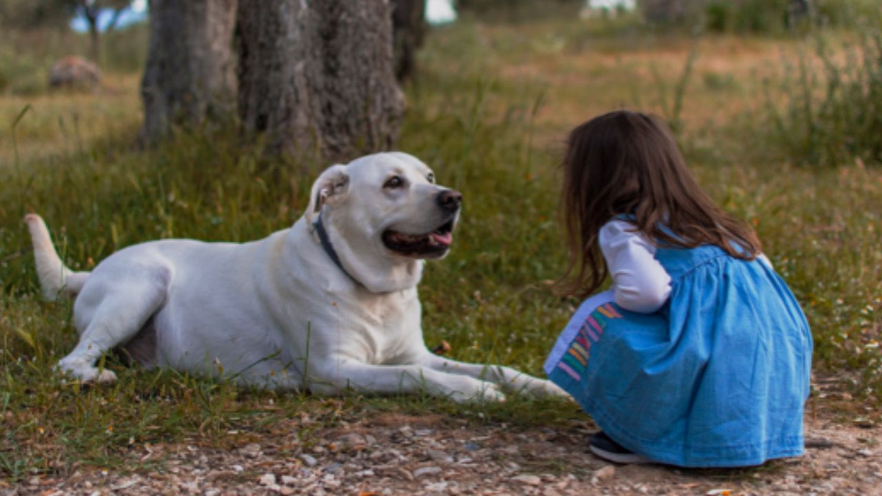 Bimba guarda avanti