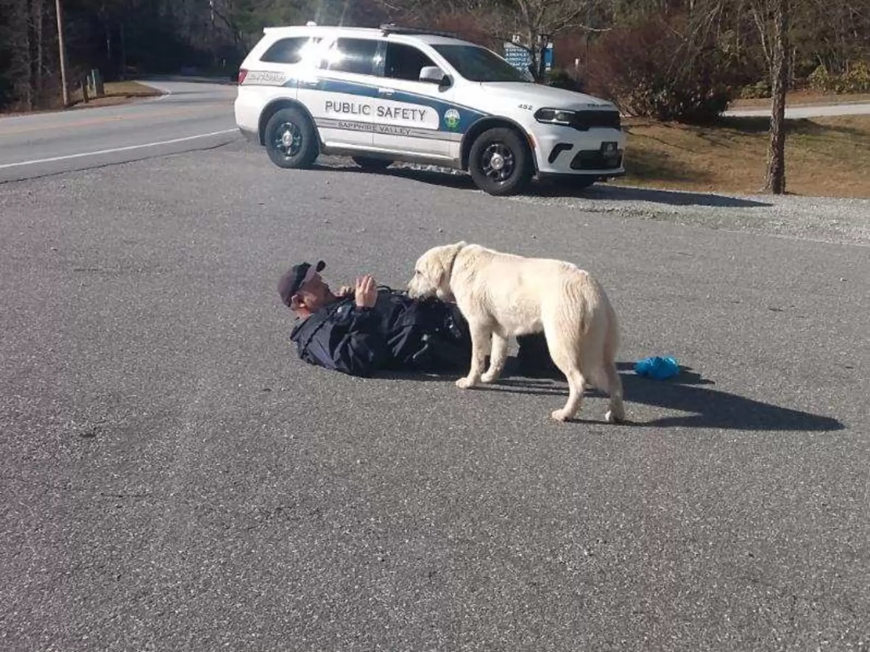 soccorritore salva cane spaventato