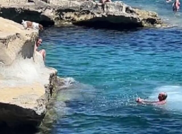 Questo cane tuffatore è la cosa più bella che vedrete: si lancia per nuotare con il suo padrone