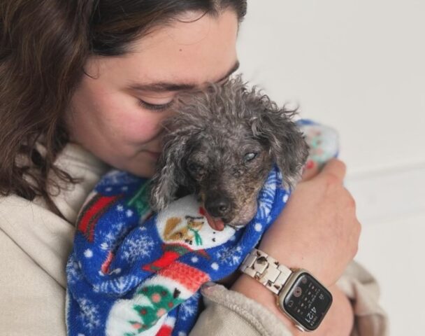 “Sono i suoi ultimi momenti sulla Terra”: così questa famiglia cerca di rendere felice la cagnolina per le ultime volte