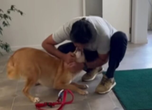 Una coppia ha speso oltre 15.000 euro pur di adottare un cane in difficoltà proveniente da un Paese lontano
