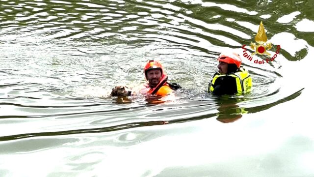 Cane in pericolo sul fiume Arno a Firenze, intervengono i Vigili del Fuoco
