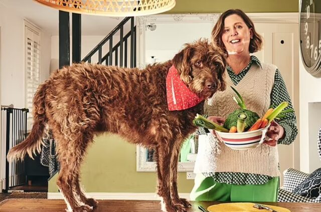 Cane segue la dieta vegana per un mese: cosa è successo? Il racconto della padrona del Labradoodle