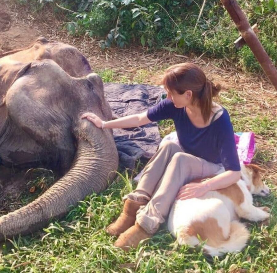 una donna con un cane ed un elefante