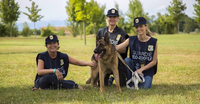 Guardie zoofile in azione: nuove tutele in difesa degli animali in difficoltà