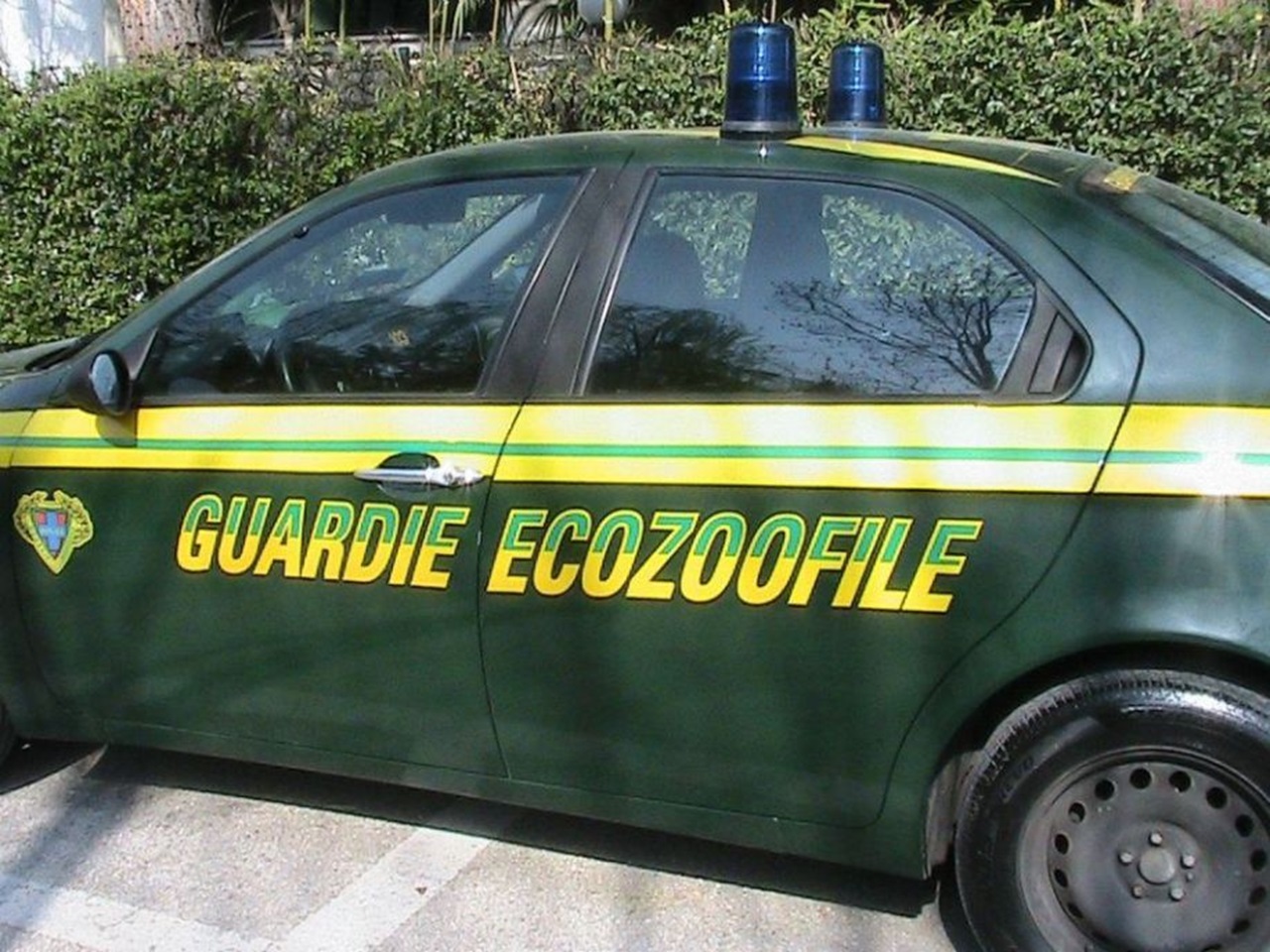 auto delle guardie zoofile