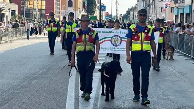 La medaglia del cane che ha trovato Giulia Cecchettin era stata persa: ecco come l’hanno recuperata