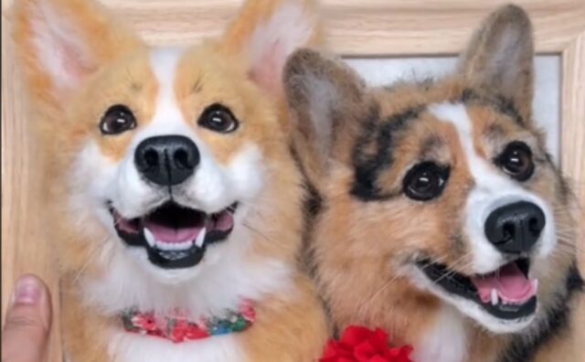 Il gesto di un artista per il Corgi che ha perso il suo migliore amico è pieno di tenerezza (VIDEO)