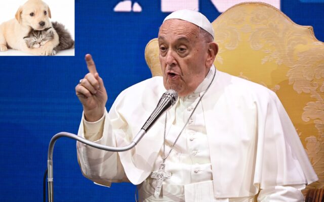 Papa Francesco: “Tutti hanno un cane e un gatto, ma non si fanno figli”. Per il Papa è un problema grave