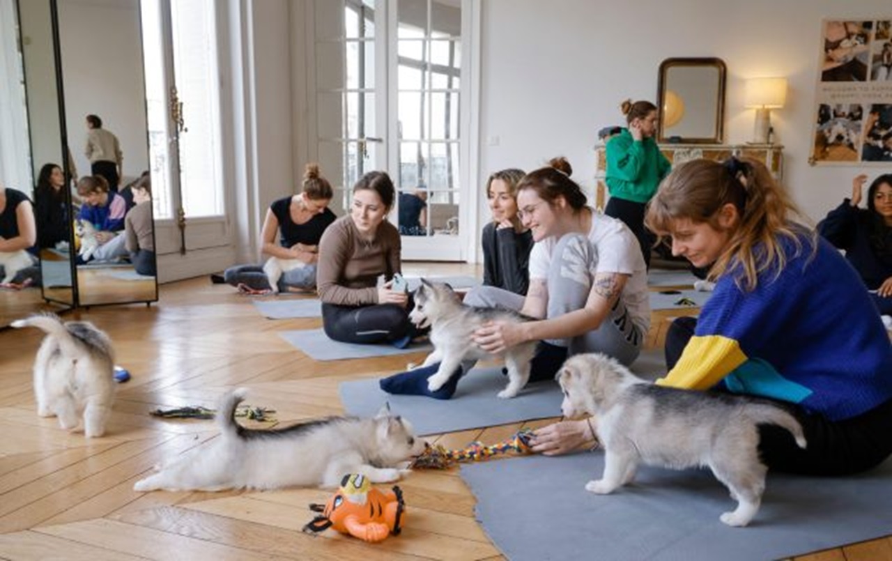 Puppy yoga con cuccioli