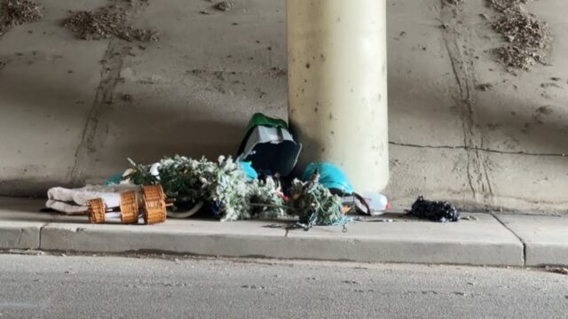 Quando hanno visto il cane il loro cuore si è frantumato: era stato gettato via senza riguardo – Video