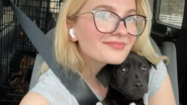 Questa donna ha salvato più di mille tra cani, gatti e altri animali e non ha intenzione di fermarsi