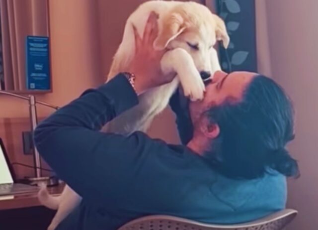 Una coppia in vacanza trova un cane in condizioni anomale e prende una decisione che gli cambia la vita