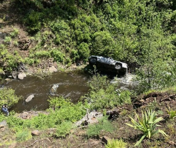 Cane corre per sei chilometri per cercare aiuto per il padrone, caduto con l’auto nel fiume