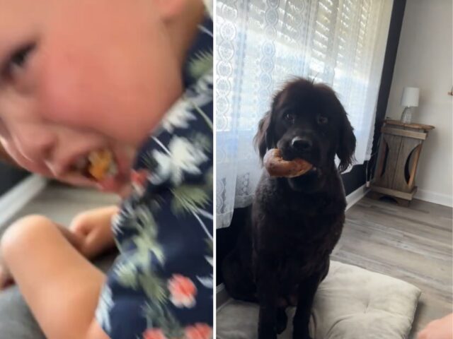 Il Terranova ruba senza scusarsi la merenda di un bambino e le persone non sanno per chi fare il tifo