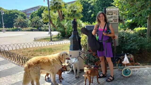 Donna gira il mondo con sei cani, di cui uno paralizzato