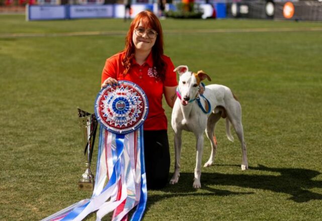 A quanto pare questo è il Whippet più veloce d’America (e la sua velocità è da urlo)