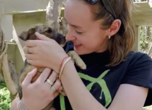 Il cucciolo di cane randagio dormiva in un tappetino sporco dopo che la mamma lo aveva rifiutato per le sue condizioni