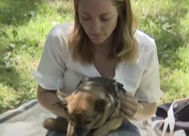 La donna capisce che il cane è stato rubato e non rimane a guardare, interviene immediatamente