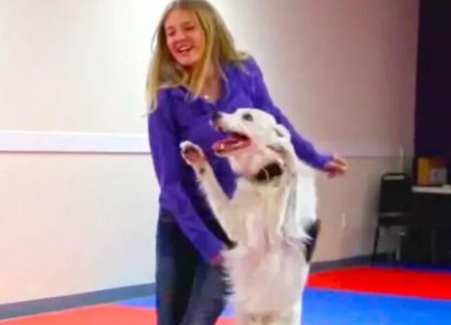 L’amore passa anche per la danza, la routine musicale del cane e della sua padrona è pura tenerezza