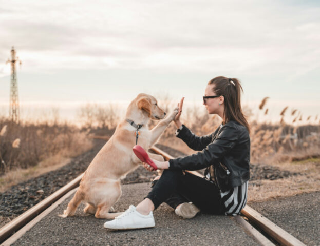 Lo dice la scienza: i cani sono anche sentinelle della nostra salute