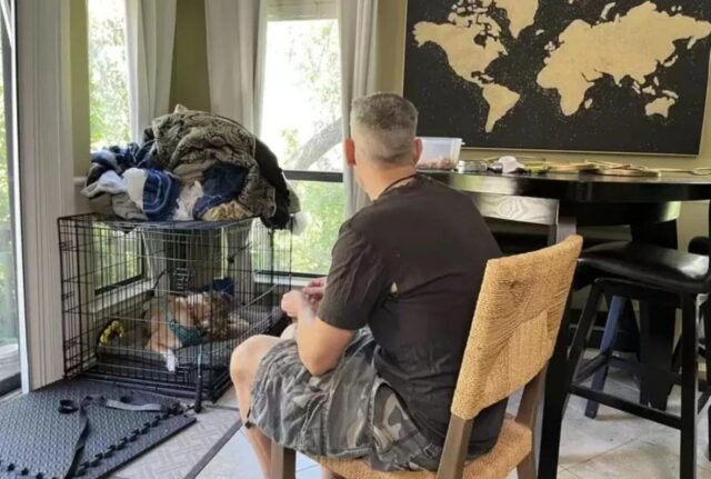 Il cane aveva troppa paura, così l’uomo va in rifugio ogni giorno per due anni pur di conquistare la sua fiducia