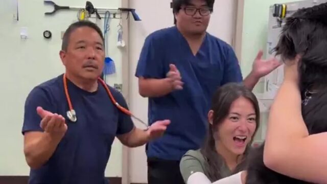 Cane con paura del prelievo di sangue, il trucco dei veterinari per evitare stress
