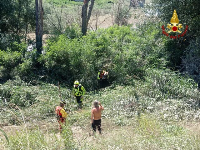 Cane e civetta salvati a Modena dai Vigili del Fuoco intervenuti per il forte maltempo