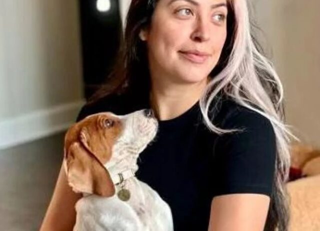 Porta il cane a sopprimere perché malato: un anno dopo lo rivede vivo e lo chiede indietro
