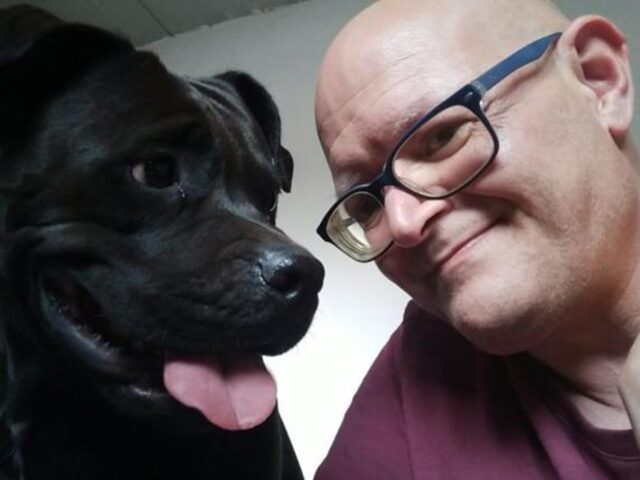Uomo vive in auto con il suo cane: non gli danno casa in affitto per l’animale