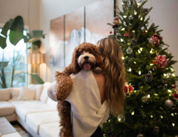Queste sono le cose che devi sapere se vuoi addestrare il tuo cane a stare lontano dall’albero di Natale