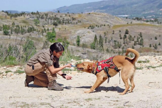 Cane e proprietaria salvano le specie in via d’estinzione… con gli escrementi