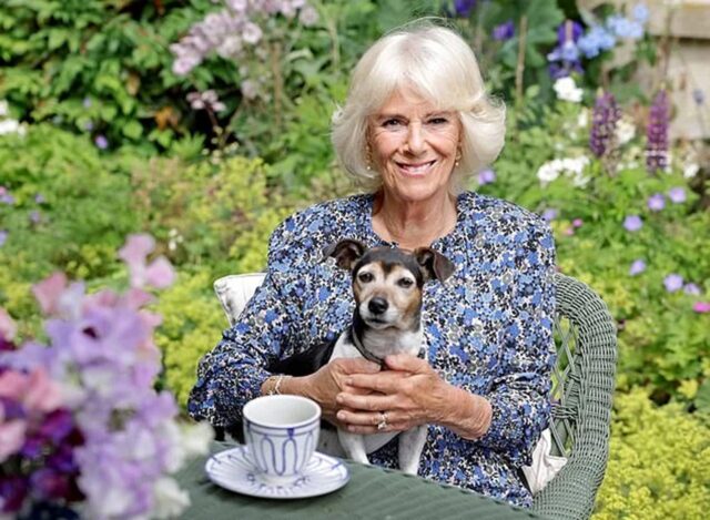 Carlo e Camilla, un nuovo cane dopo la morte di Beth per il Re e la Regina