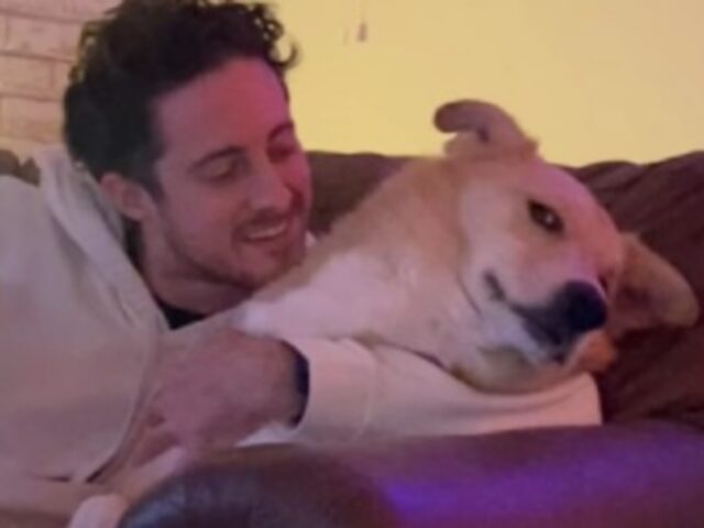 Il cane capisce che il suo papà non condividerà il suo cibo e mette in scena un vero e proprio dramma