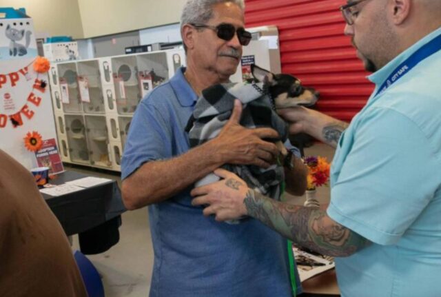 I soccorritori entrano nella casa, non immaginavano di trovare così questi poveri cani