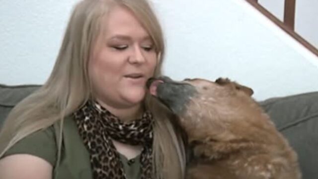La donna non è riuscita a lasciare indietro la famiglia di cani “meno adottabile” del rifugio