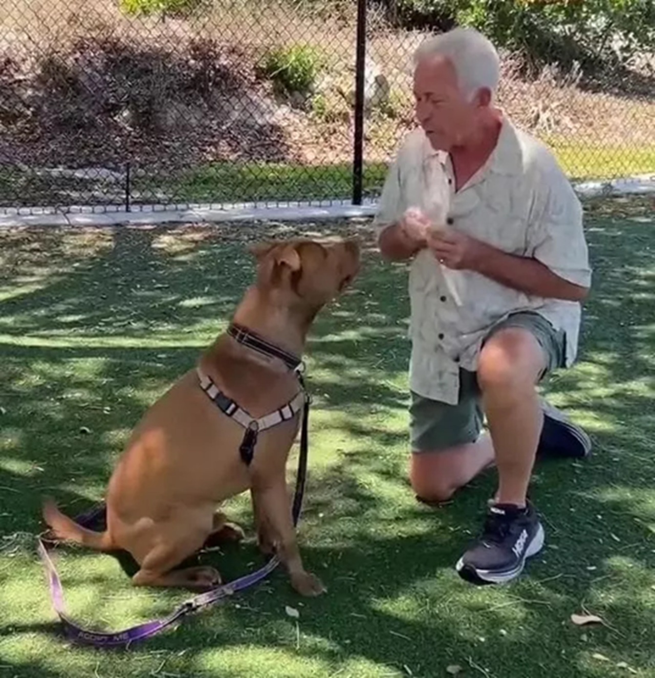 Cane con la sua persona speciale