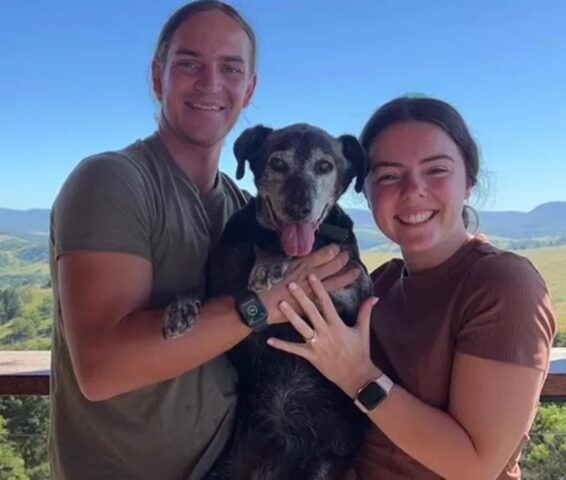 Cane di 19 anni felice al matrimonio dei suoi umani di riferimento