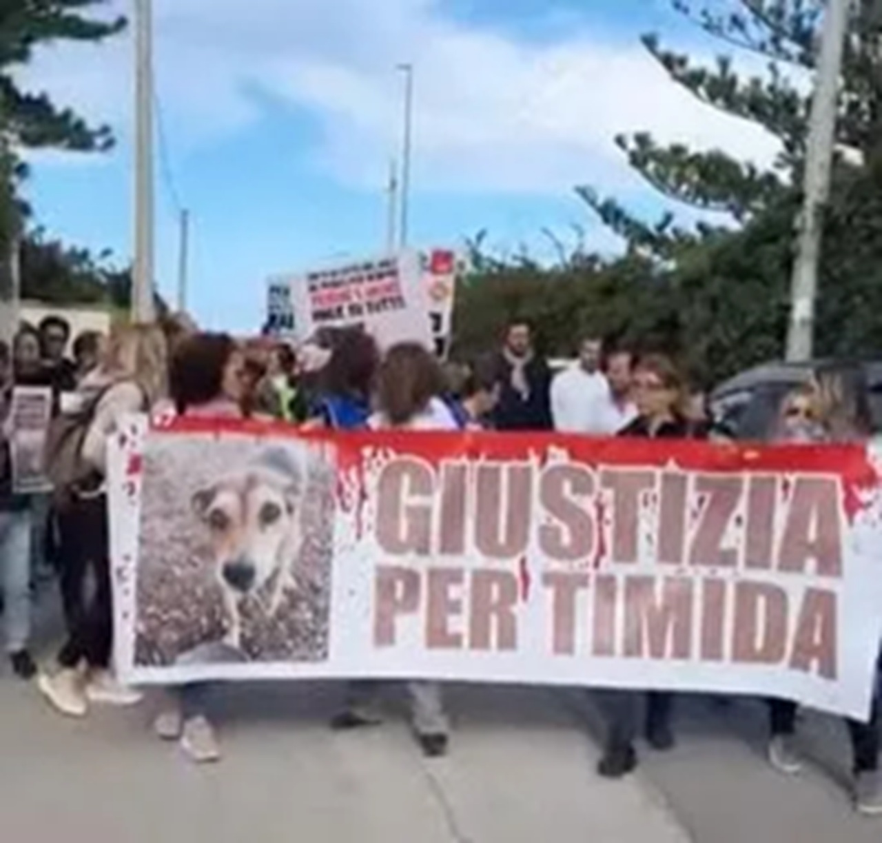 Giustizia per Timida