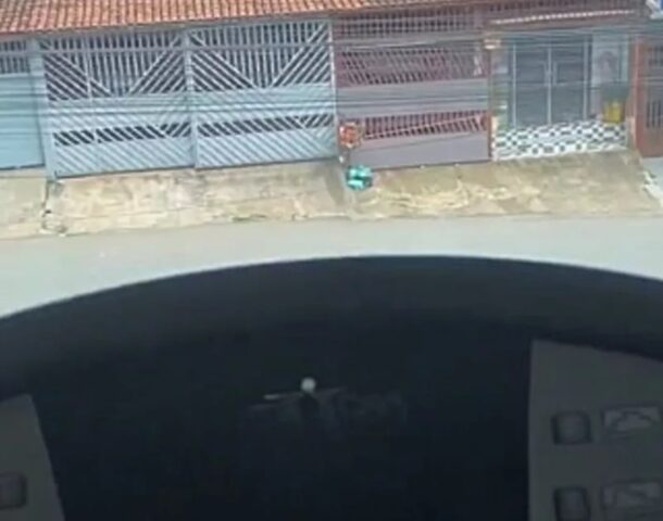 Cani salvati durante l’allenamento sul tapis roulant