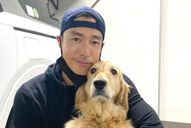 Carne di cane in Corea del Sud: Daniel Henney in campo per salvare gli animali