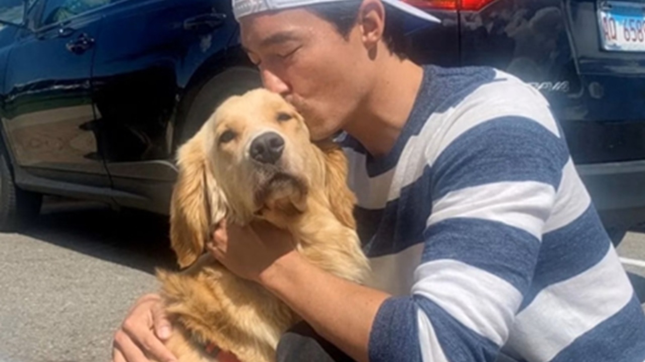 Carne di cane in Corea del Sud