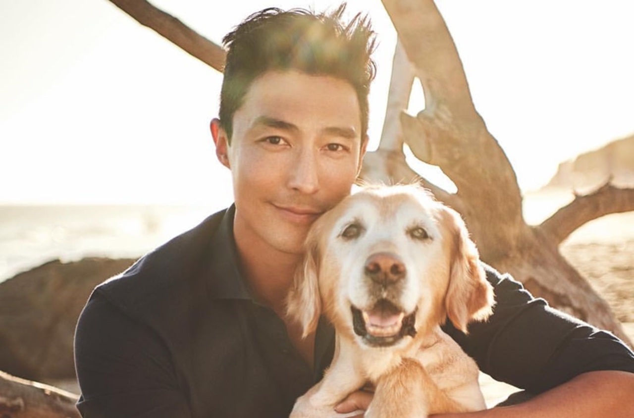 Daniel Henney salva i cani