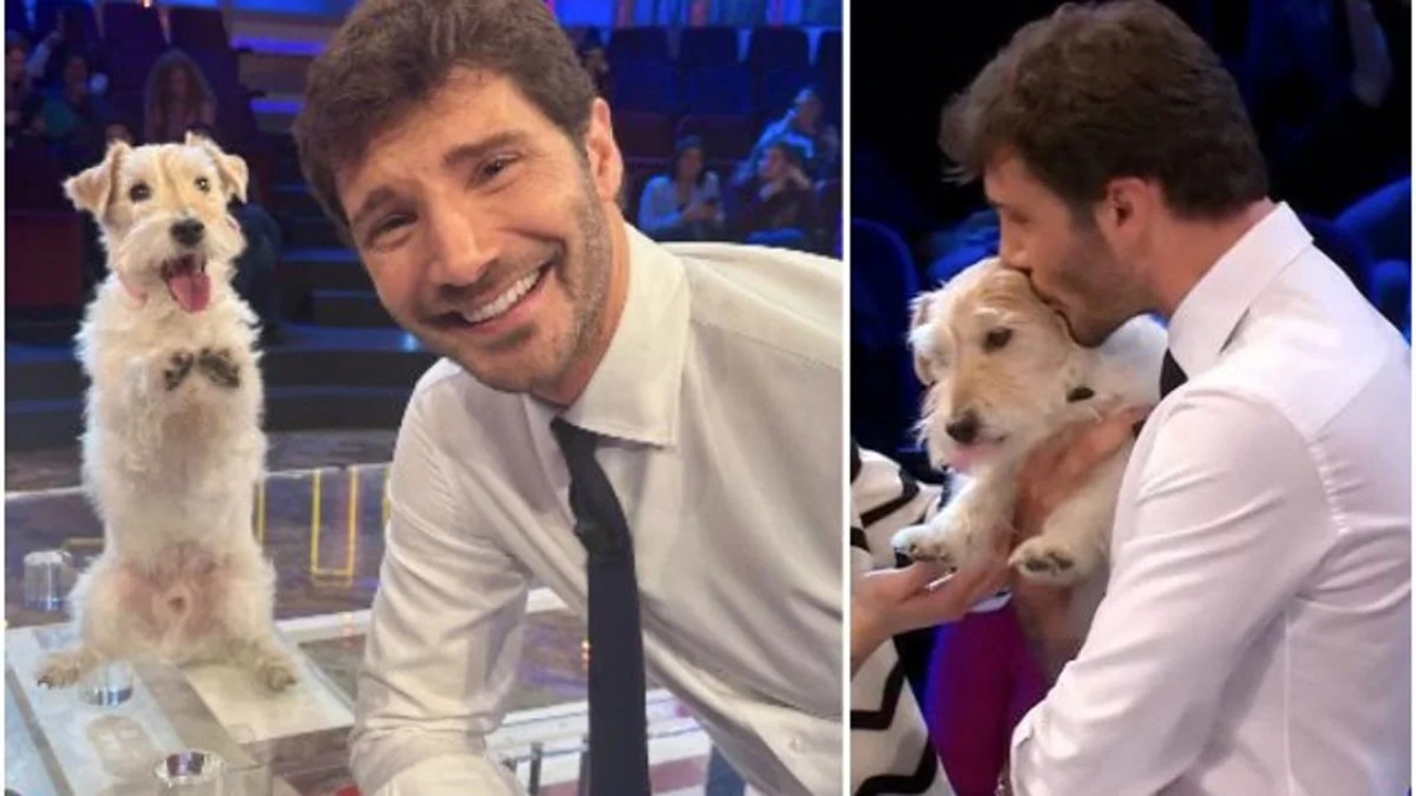 Gennarino Jack Russell Affari Tuoi