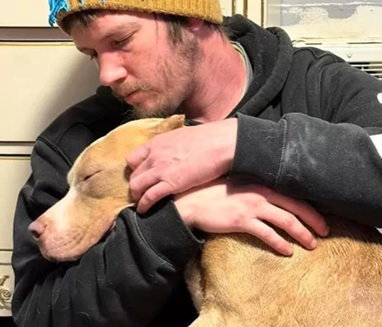 Pit Bull coccolata