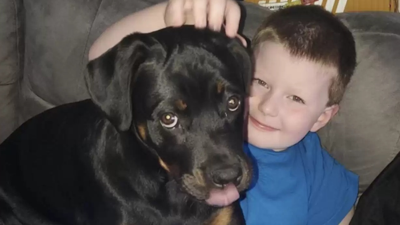 Cane coccola fratello per farlo dormire